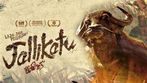 kattu movie|jallikattu malayalam movie.